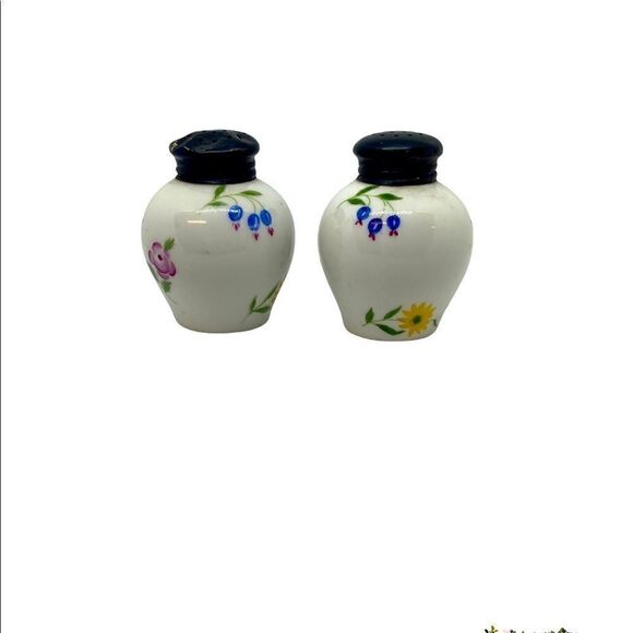 Rosenthal Selb Germany Salt & Pepper Shakers Hand Painted Floral - Picture 6 of 6